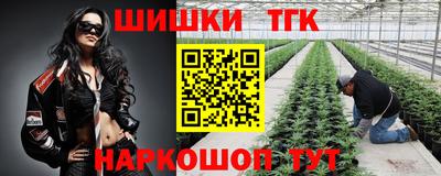 гидропоника Лесосибирск