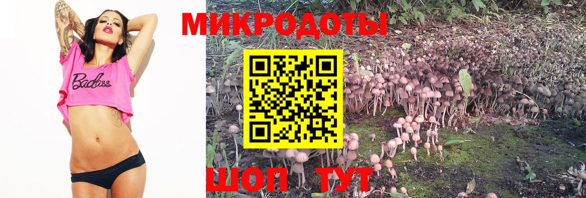 Галлюциногенные грибы Magic Shrooms  Вход с VPN  Каменск-Шахтинский  Псилоцибиновые грибы мухоморы 